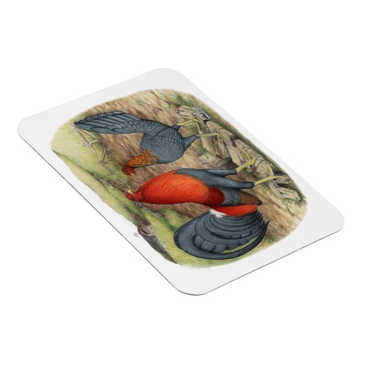 American Game Blue Reds Magnet (Rechte Seite)