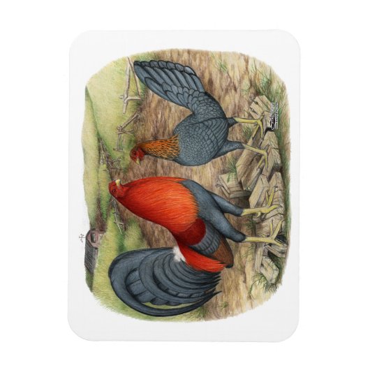 American Game Blue Reds Magnet (Vertikal)