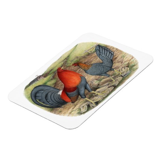 American Game Blue Reds Magnet (Linke Seite)