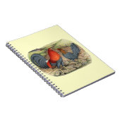 American Game Blue Reds Notizblock (Rechte Seite)