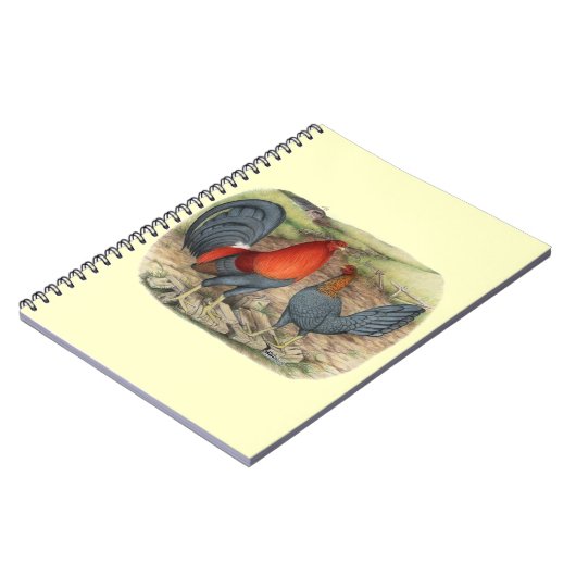 American Game Blue Reds Notizblock (Linke Seite)