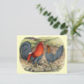 American Game Blue Reds Postkarte (Stehend Vorderseite)