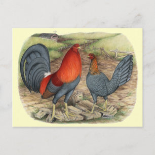 American Game Blue Reds Postkarte