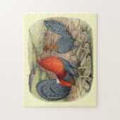 American Game Blue Reds Puzzle (Vertikal)