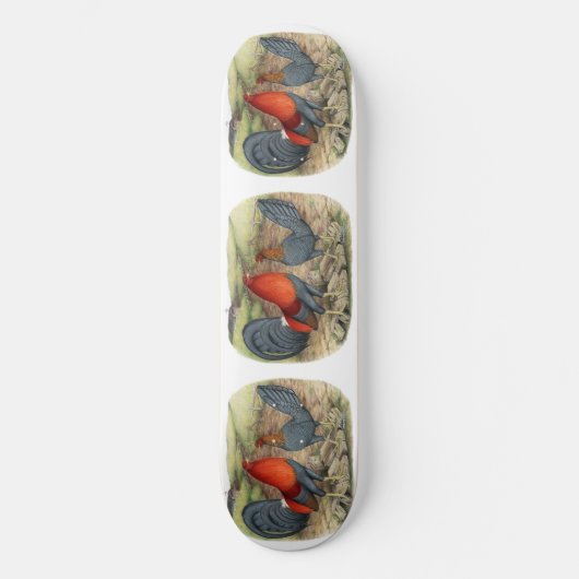 American Game Blue Reds Skateboard (Vorderseite)