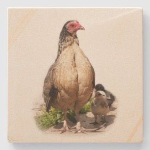 American Game Hen and Baby Chickens Steinuntersetzer