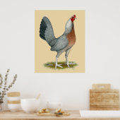 American Game Hen Silver Blue Poster (Küche)