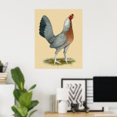 American Game Hen Silver Blue Poster (Heimbüro)