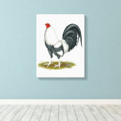 American Game Silver Blue Gamecock Leinwanddruck (Insitu (Holzboden))