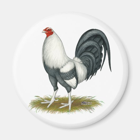 American Game Silver Blue Gamecock Magnet (Vorne)
