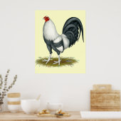 American Game Silver Blue Gamecock Poster (Küche)