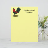 American Gamecock: Brown Red (Stehend Vorderseite)