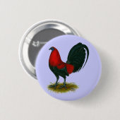 American Gamecock: Brown Red Button (Vorne & Hinten)