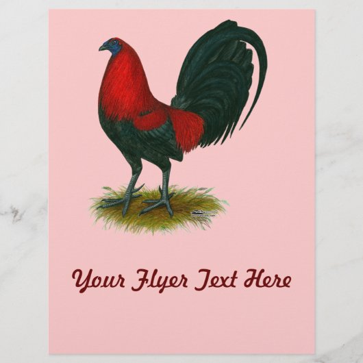 American Gamecock: Brown Red Flyer (Vorne)