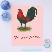 American Gamecock: Brown Red Flyer (Einzeln)