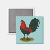 American Gamecock: Brown Red Magnet (Vorderseite/Rückseite)