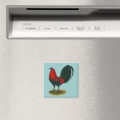 American Gamecock: Brown Red Magnet (In Situ (Geschirrspüler))