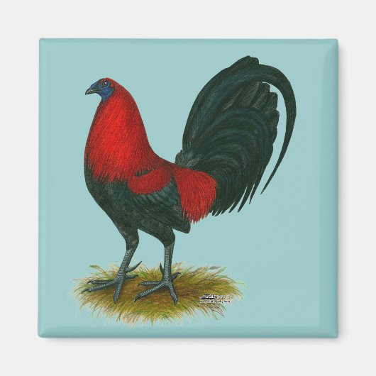 American Gamecock: Brown Red Magnet (Vorne)