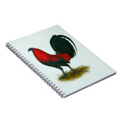 American Gamecock: Brown Red Notizblock (Rechte Seite)
