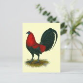 American Gamecock: Brown Red Postkarte (Stehend Vorderseite)