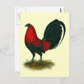 American Gamecock: Brown Red Postkarte (Vorne/Hinten)