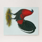 American Gamecock: Brown Red Puzzle (Horizontal)