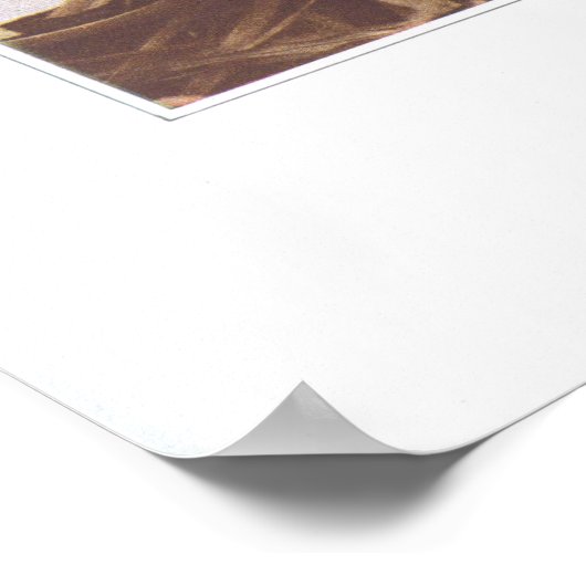 American Globelower - Trollius laxus Poster (Ecke)