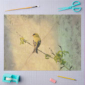 American Gold Finch Bird auf Branchentext Seidenpapier (Basteln)