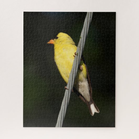 American Gold Finch - Dunkelgrüner Hintergrund Puzzle (Vertikal)