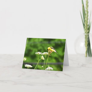 American Goldfinch #1 - Blank Note Card Dankeskarte