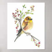 American Goldfinch Bird Watercolor Art Print Poster (Vorne)