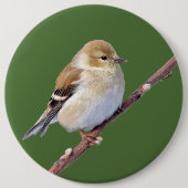 American Goldfinch Button (Vorderseite)