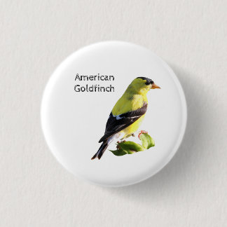 American Goldfinch Button