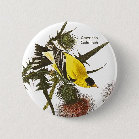 American Goldfinch by John James Audubon Button (Vorderseite)