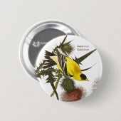 American Goldfinch by John James Audubon Button (Vorne & Hinten)