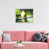 American Goldfinch Canvas Print Leinwanddruck (Insitu (Wohnzimmer))