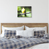 American Goldfinch Canvas Print Leinwanddruck (Insitu (Schlafzimmer))