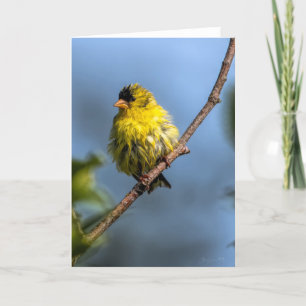 American Goldfinch Dankeschön Card Dankeskarte