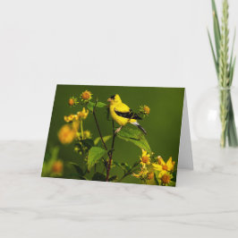 American Goldfinch Dankeskarte