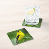 American Goldfinch Drink Untersetzer (Vor Ort)