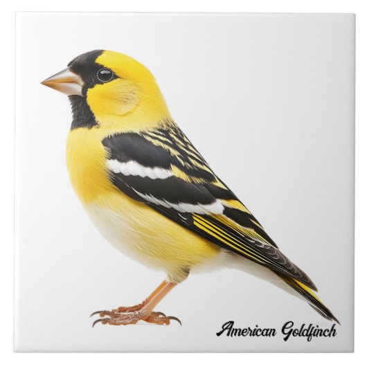 American Goldfinch Fliese (Vorderseite)
