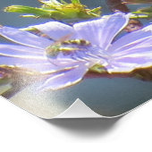 American Goldfinch Fotodruck (Ecke)