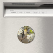 American Goldfinch Magnet (In Situ (Geschirrspüler))