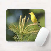 American Goldfinch on Mouse Pad Mousepad (Mit Mouse)