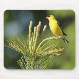 American Goldfinch on Mouse Pad Mousepad