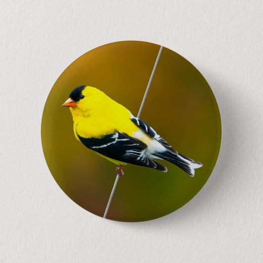 American Goldfinch - Originalfotografie Button (Vorderseite)