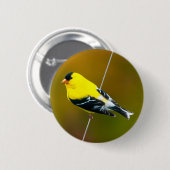 American Goldfinch - Originalfotografie Button (Vorne & Hinten)