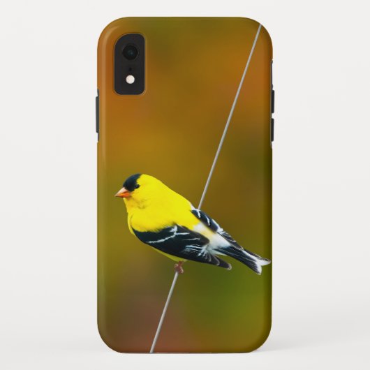 American Goldfinch - Originalfotografie Case-Mate iPhone Hülle (Rückseite)