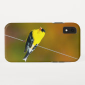 American Goldfinch - Originalfotografie Case-Mate iPhone Hülle (Rückseite (Horizontal))