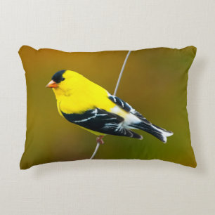 American Goldfinch - Originalfotografie Dekokissen